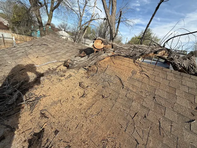 Sandoval Tree Service — photo from the business 11