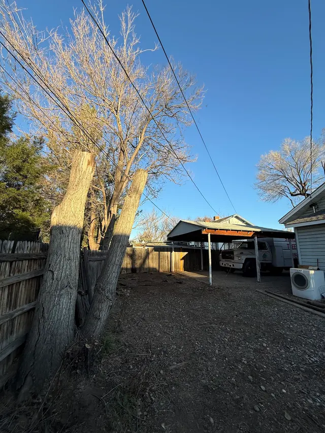 Sandoval Tree Service — photo from the business 8