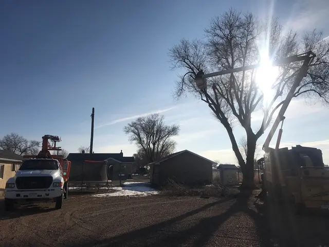 Charles and Charles Tree Service — photo from the business 2