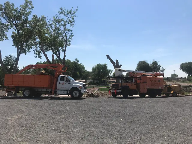Charles and Charles Tree Service — customer photo 3
