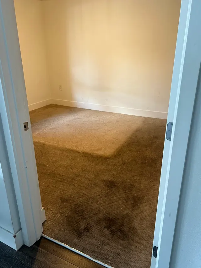Tykoon Floor and Furniture Care, LLC — customer photo 4