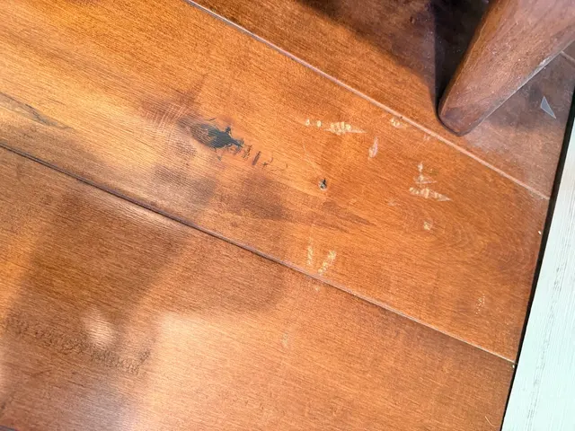 Hardwood Floor Specialist — customer photo 4