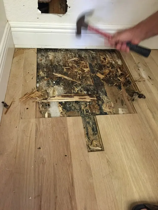 Restore Your Floor Hardwood Floors — photo from the business 9