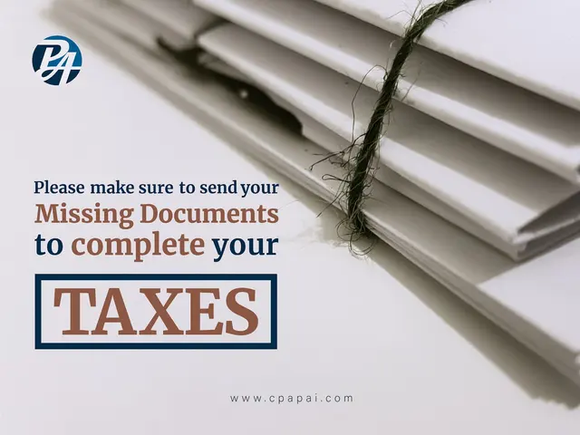 Precision Accounting Intl LLC | Amr M. Ibrahim CPA, CGMA — photo from the business 5