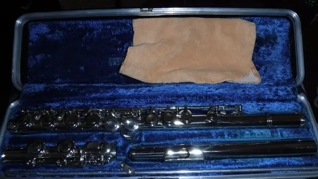 Sherm's Musical Instrument Rpr — customer photo 7
