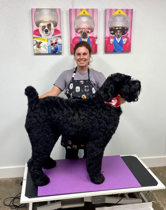 The Pawms Pet Resort - Huntsville — photo from the business 2
