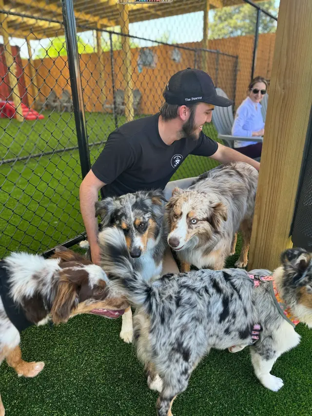 The Pawms Pet Resort - Huntsville — photo from the business 6