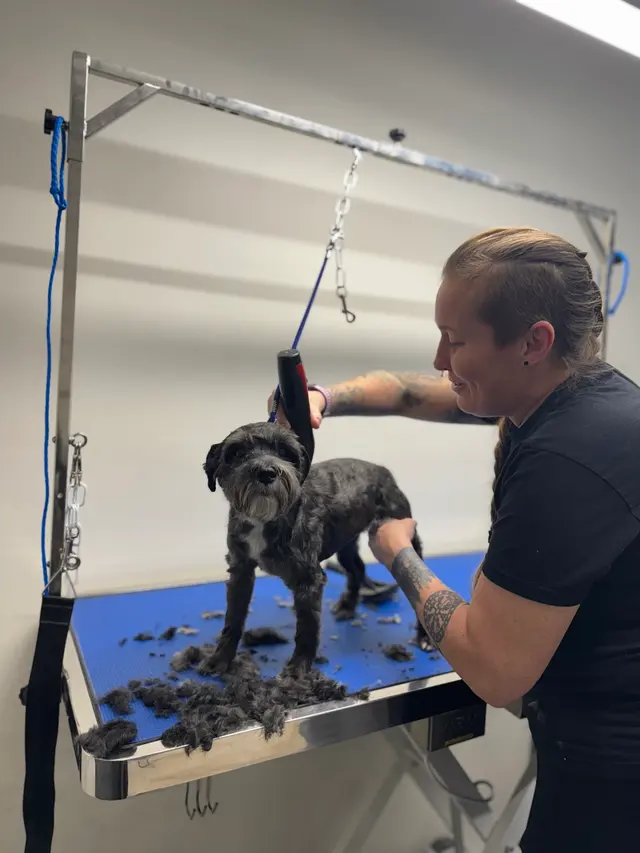 The Pawms Pet Resort - Huntsville — photo from the business 7