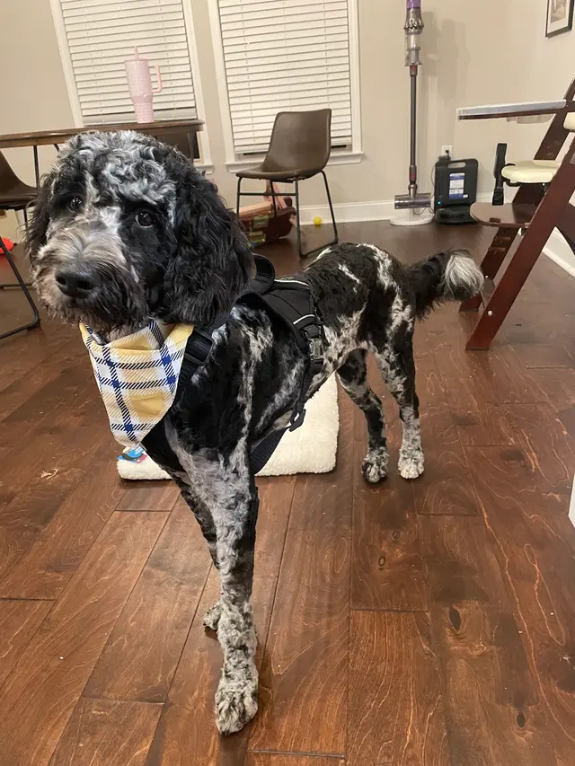 Customer photo from Corbin's review
