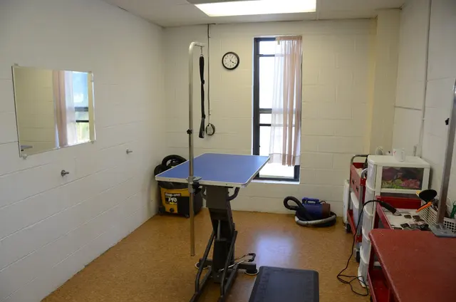 Monrovia Pet Boarding & Grooming — customer photo 6