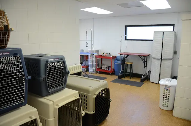 Monrovia Pet Boarding & Grooming — customer photo 12