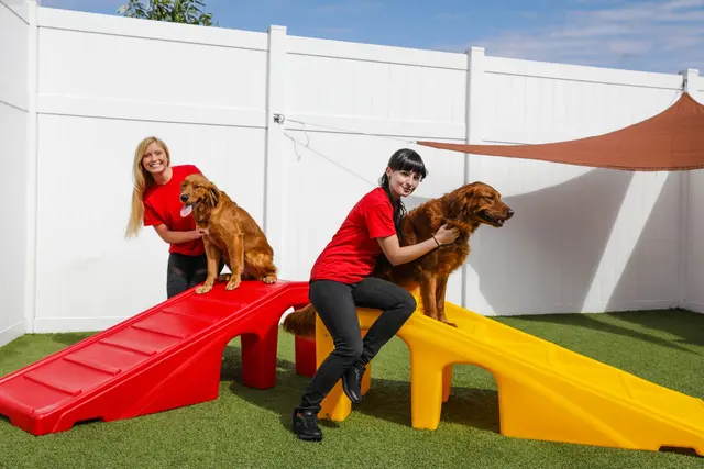 The Ark Pet Spa & Hotel - Madison — photo from the business 7