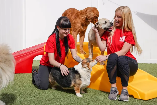 The Ark Pet Spa & Hotel - Madison — photo from the business 4