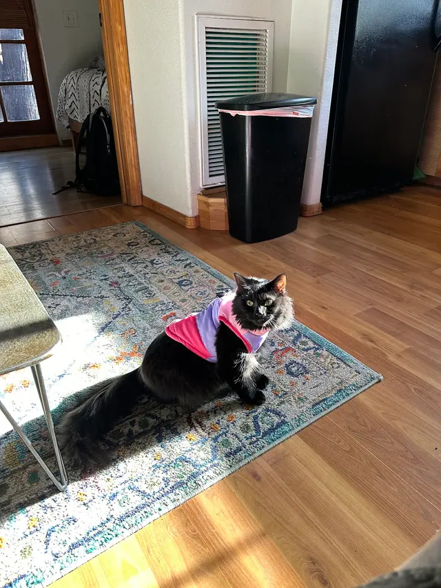 Pet Supplies Plus Madison — customer photo 10