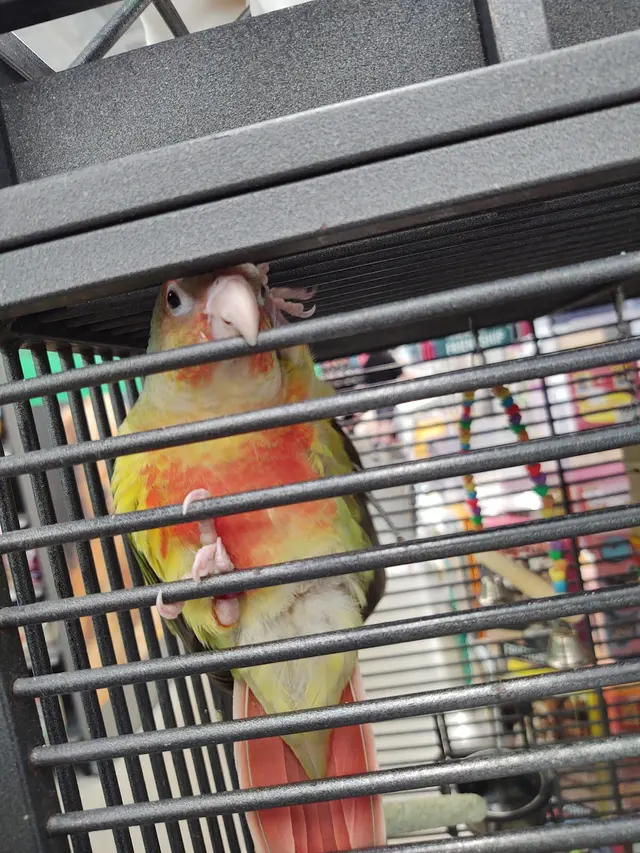 Pet Supplies Plus Madison — customer photo 7