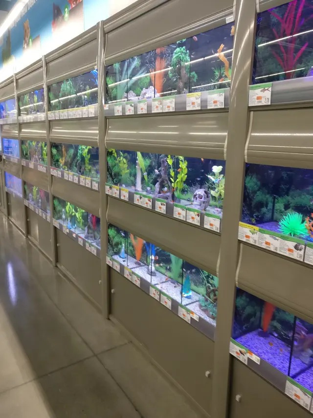 Pet Supplies Plus Madison — customer photo 2