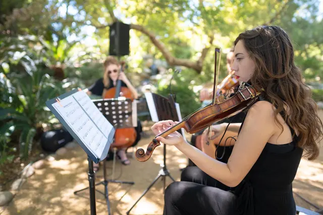 Abigail Shelton Music — photo from the business 6