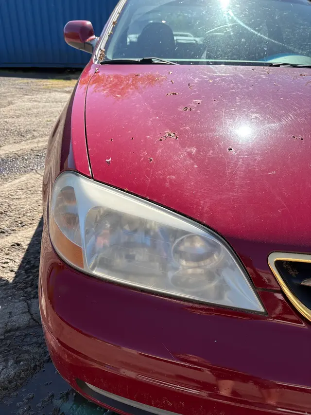 Tiger Auto Detail — photo from the business 1