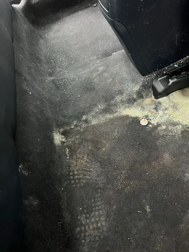 Nw World Wash — customer photo 11