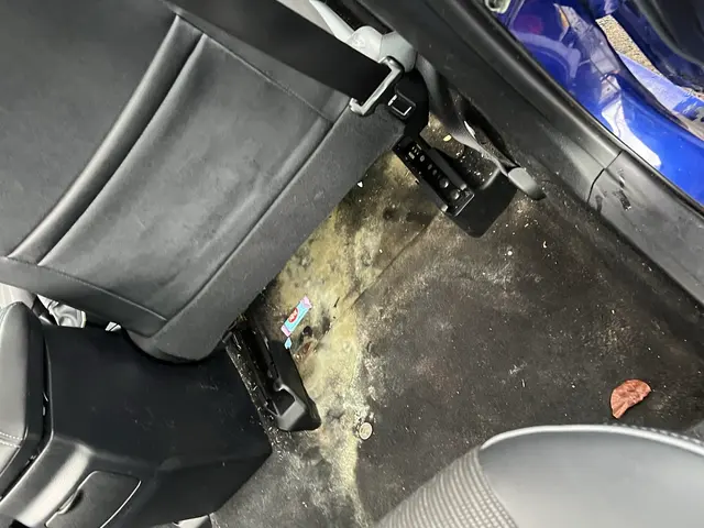 Nw World Wash — customer photo 12