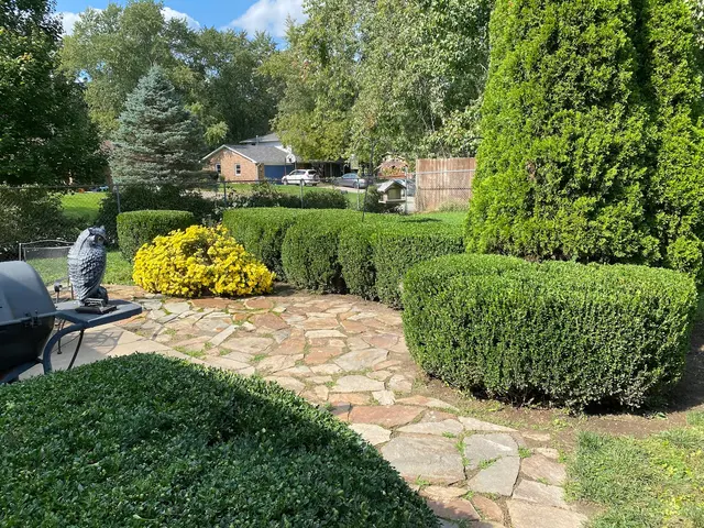 Clean Cut Property Maintenance — photo from the business 7