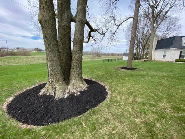 Clean Cut Property Maintenance — photo from the business 2