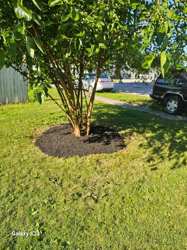 Customer photo of work by Jannings Property Solutions, from Loren Fox's review