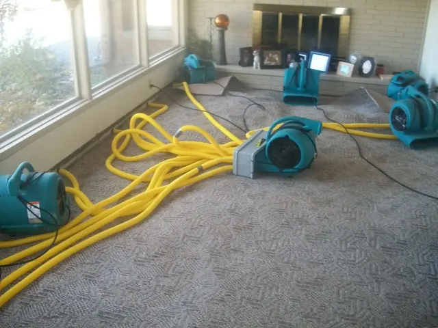 ServiceMaster of Anderson — photo from the business 3