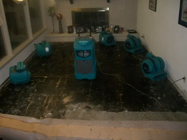 ServiceMaster of Anderson — photo from the business 5