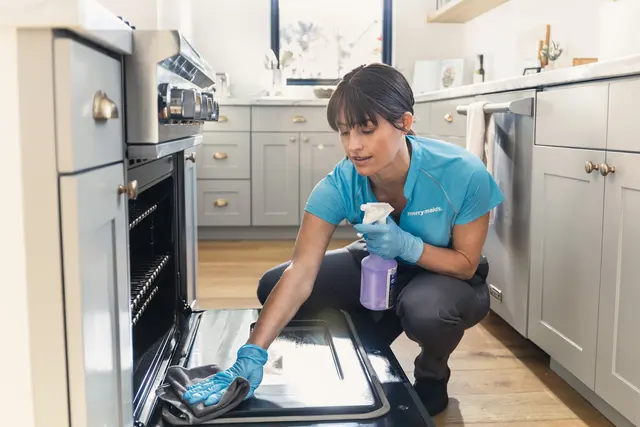 Merry Maids of Central Indiana — photo from the business 5