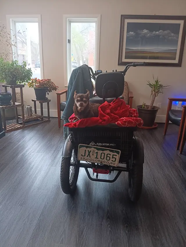 Elevate Mental Wellness — customer photo 3