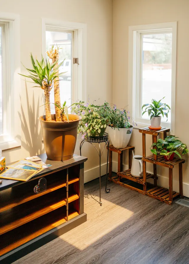 Elevate Mental Wellness — photo from the business 2