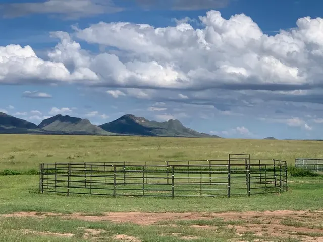 Seven Peaks Fence and Barn — photo from the business 8