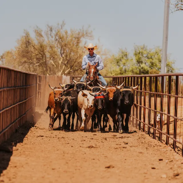 Seven Peaks Fence and Barn — photo from the business 11