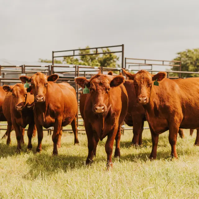 Seven Peaks Fence and Barn — photo from the business 6