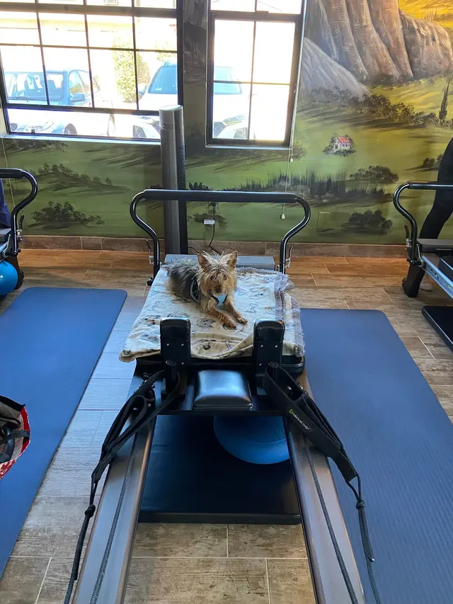 Full Body Pilates & Movement Therapy — photo from the business 10