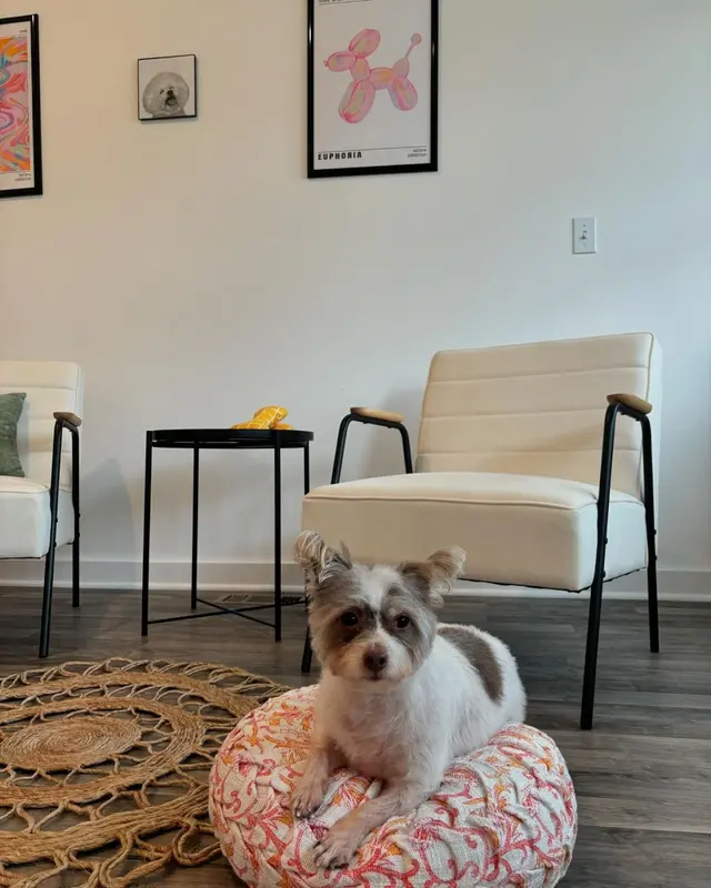 GG's Grooming Salon — photo from the business 3