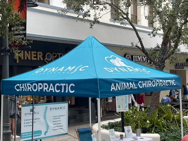 Dynamic Healthcare — photo from the business 9
