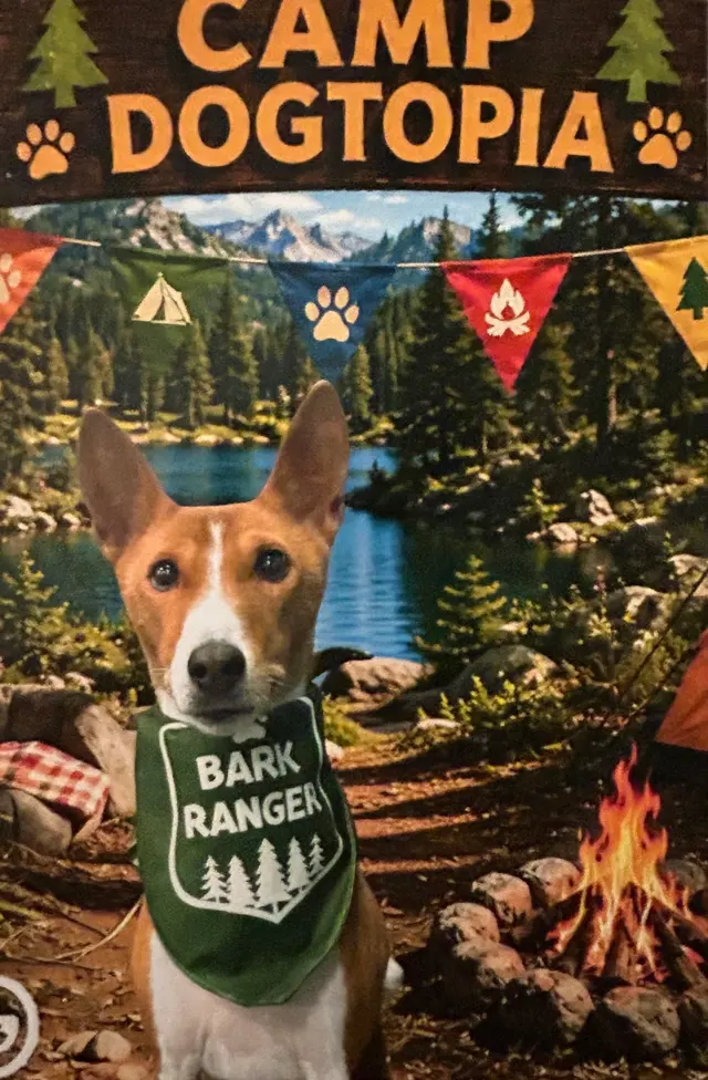 Customer photo of work by Dogtopia of Milwaukee East Side, from Kira Brenner's review