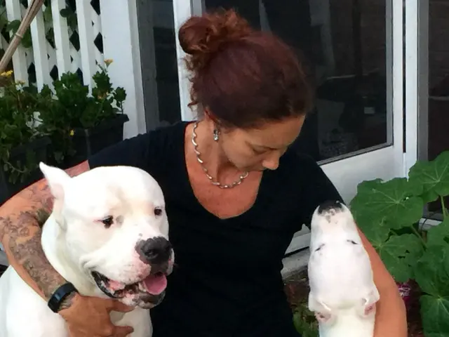 AcuVetDoc Veterinary Reproduction & Animal Care Wellness Clinic — photo from the business 1