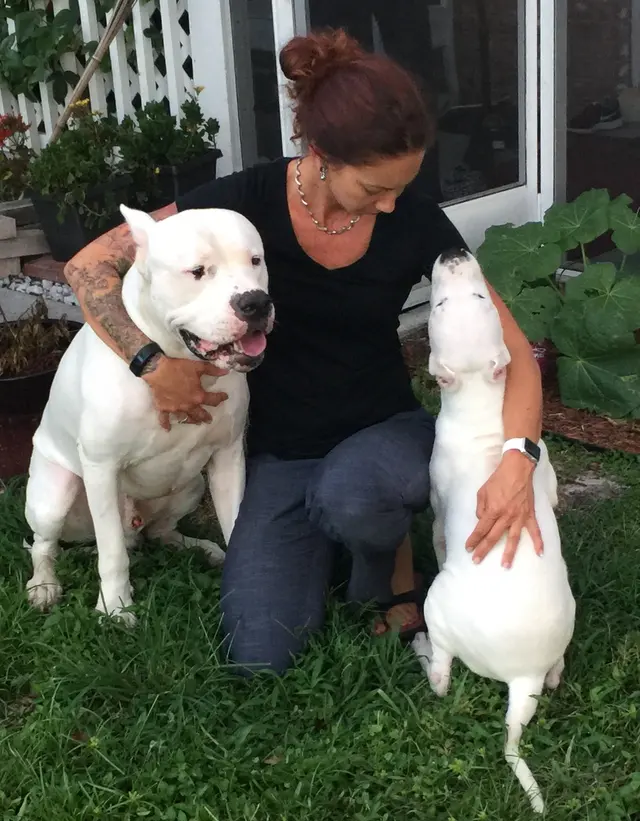 AcuVetDoc Veterinary Reproduction & Animal Care Wellness Clinic — photo from the business 3