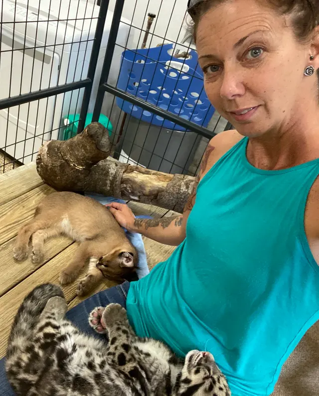 AcuVetDoc Veterinary Reproduction & Animal Care Wellness Clinic — photo from the business 2