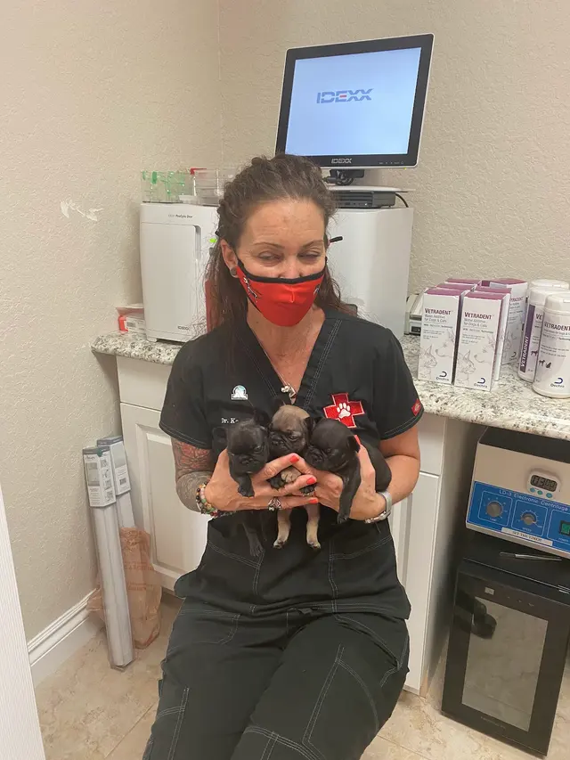 AcuVetDoc Veterinary Reproduction & Animal Care Wellness Clinic — photo from the business 11
