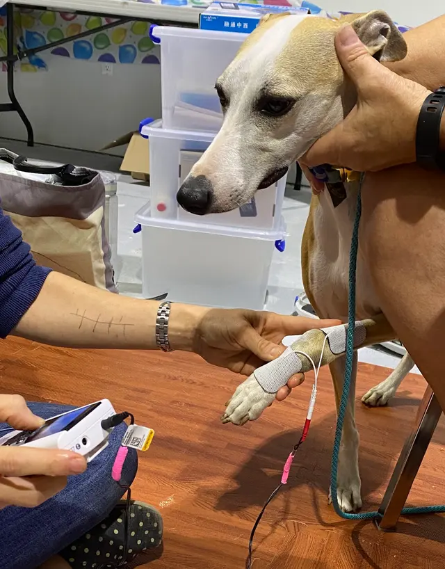 AcuVetDoc Veterinary Reproduction & Animal Care Wellness Clinic — photo from the business 7