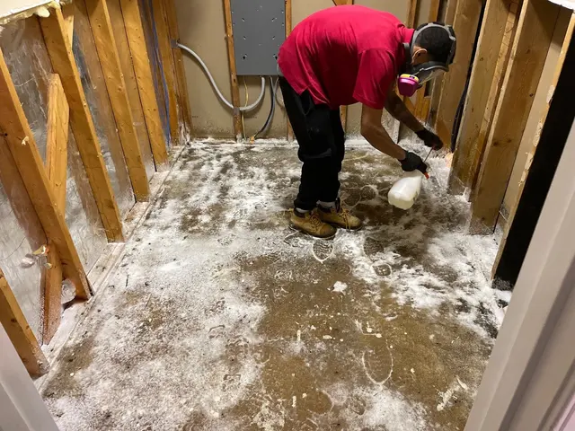 Water Damage Pros NC — photo from the business 7