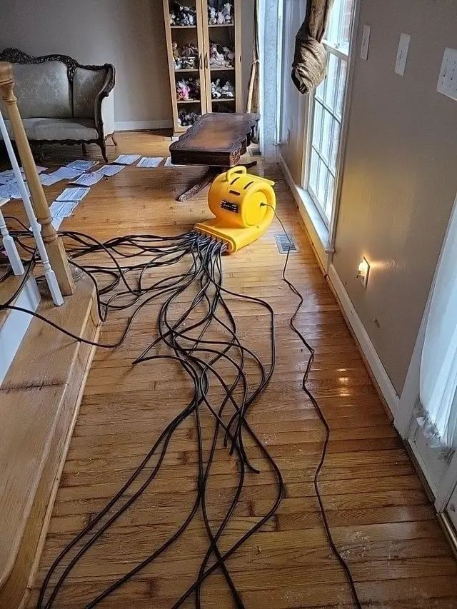 Water Damage Pros NC — photo from the business 8