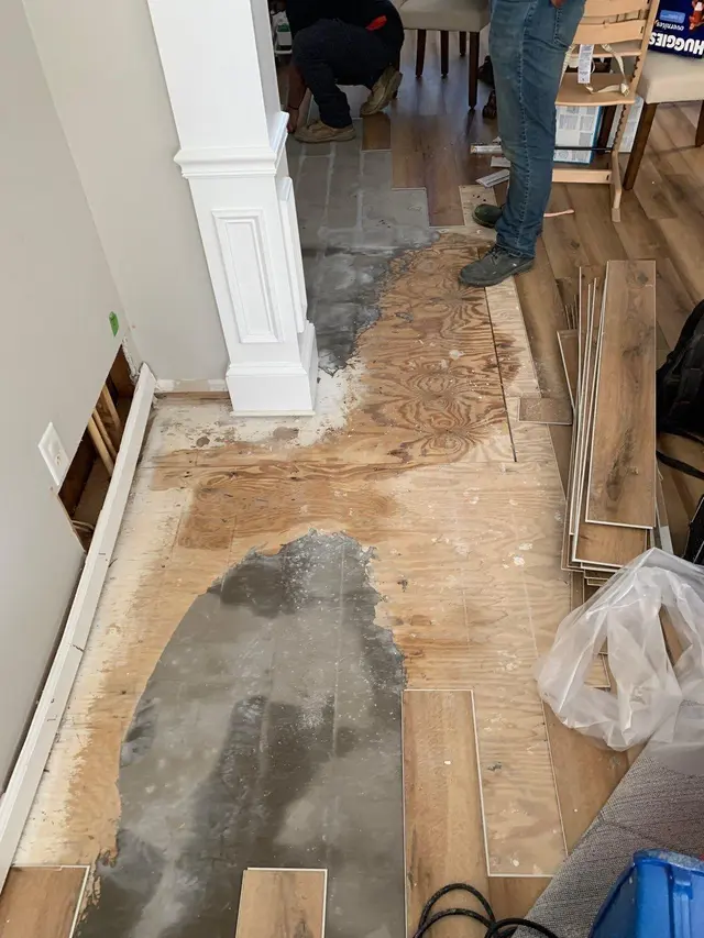 Water Damage Pros NC — photo from the business 10