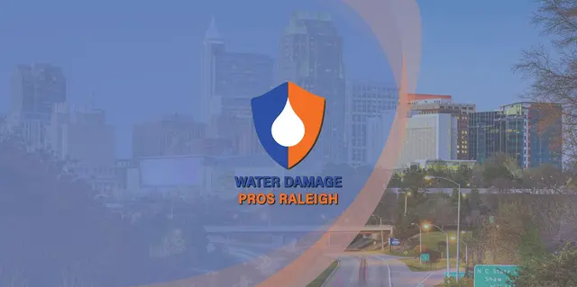 Water Damage Pros NC — photo from the business 1