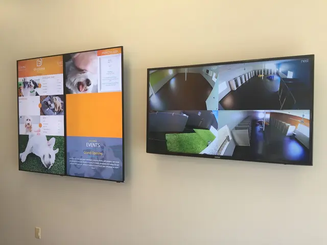 Dogtopia of Pewaukee — photo from the business 9