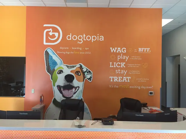 Dogtopia of Pewaukee — photo from the business 5